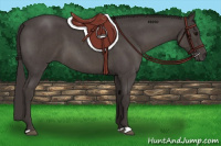 Horse Color:Smoky Blue Roan