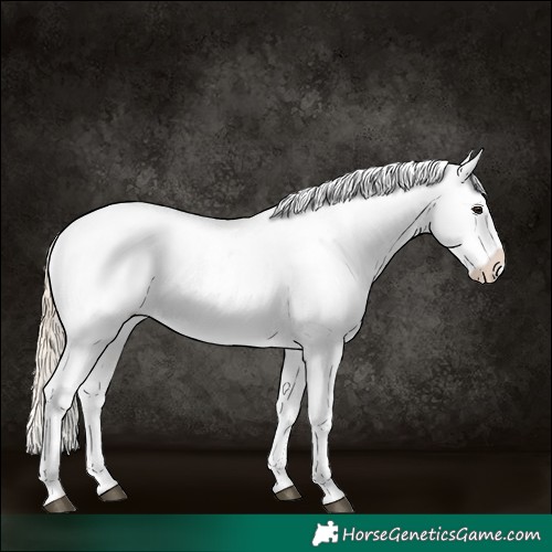 Horse Color:Chestnut Tobiano Near Fewspot 