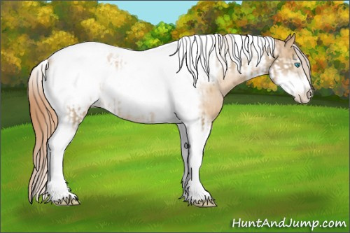 Horse Color:Chocolate Palomino Pearl Tobiano Frame  and Buckskin Pearl Tobiano Frame 