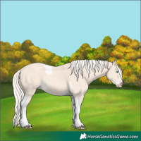 Horse Color:Cremello Tobiano