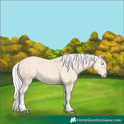 Horse Color:Silver Perlino Tobiano