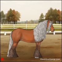 Horse Color:Silver Bay 