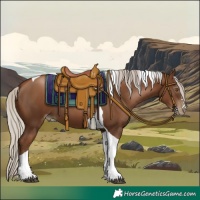 Horse Color:Gray Silver Black Pearl Tobiano 