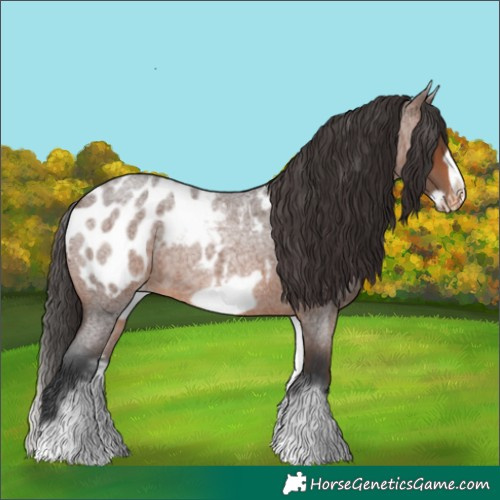 Horse Color:White Spotted Brown Roan Frame Near Leopard