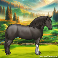 Horse Color:Smoky Black 