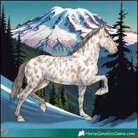 Horse Color:Amber Champagne Appaloosa  and Amber Champagne Appaloosa 