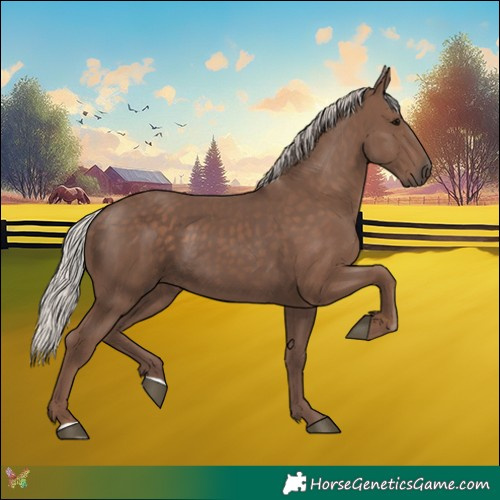 Horse Color:Silver Black