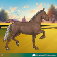 Horse Color:Silver Black 