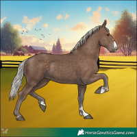 Horse Color:Silver Black 