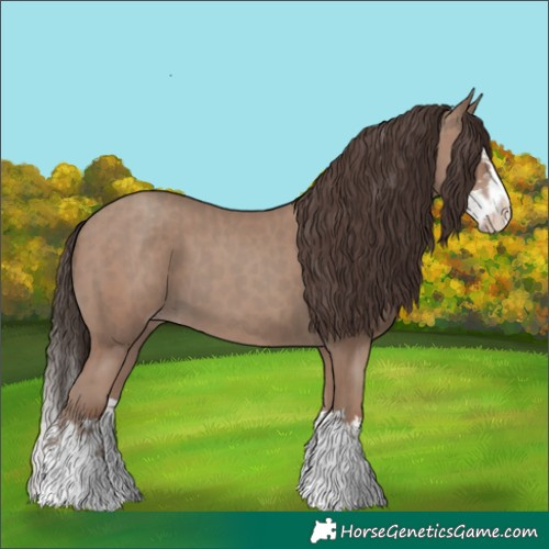 Horse Color:Classic Champagne  and Classic Champagne Splash 