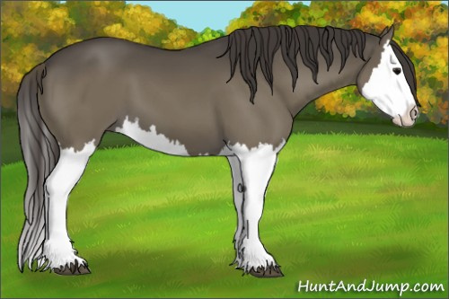 Horse Color:Smoky Grullo Splash 