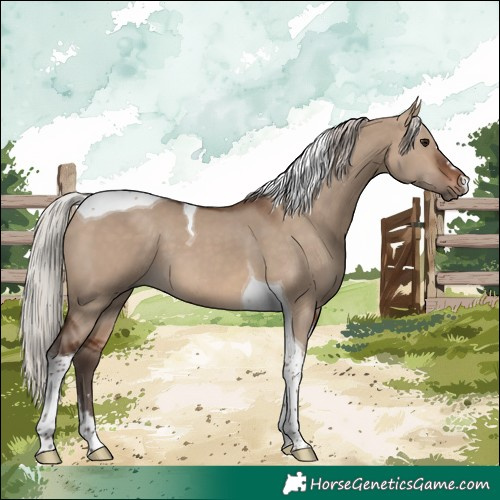 Horse Color:Silver Brown Dun Tobiano