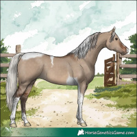 Horse Color:Silver Brown Dun Tobiano 