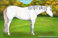 Horse Color:White Spotted Smoky Grullo Ice Pearl Splash Tobiano 