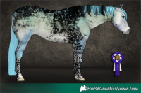Horse Color:Void Platinum Watercolor Buckskin Onyx Tobiano 
