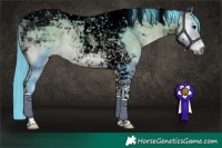 Horse Color:Void Platinum Watercolor Buckskin Onyx Tobiano