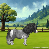 Horse Color:Blue Roan Splash Tobiano 