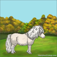 Horse Color:Cremello 