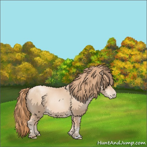 Horse Color:Gold Champagne Pearl Rabicano  and Gold Champagne Pearl Rabicano 