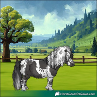 Horse Color:White Spotted Black Splash Tobiano 