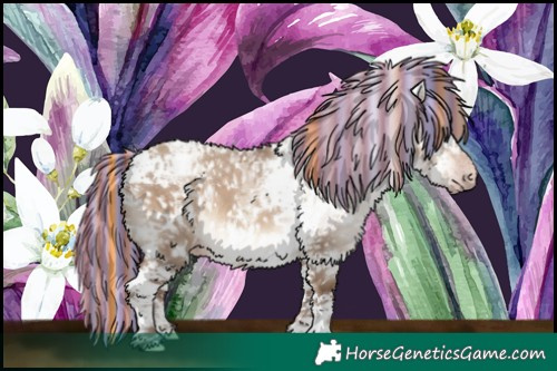 Horse Color:Gray Painted White Spotted Silver Sable Champagne Dun Mushroom Splash Tobiano Snowcap Rabicano 