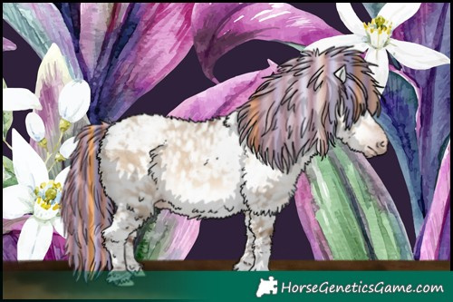 Horse Color:Gray Painted White Spotted Silver Sable Champagne Dun Mushroom Splash Tobiano Appaloosa Rabicano 