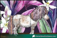 Horse Color:Gray Painted White Spotted Silver Sable Champagne Dun Mushroom Splash Tobiano Snowcap Rabicano 