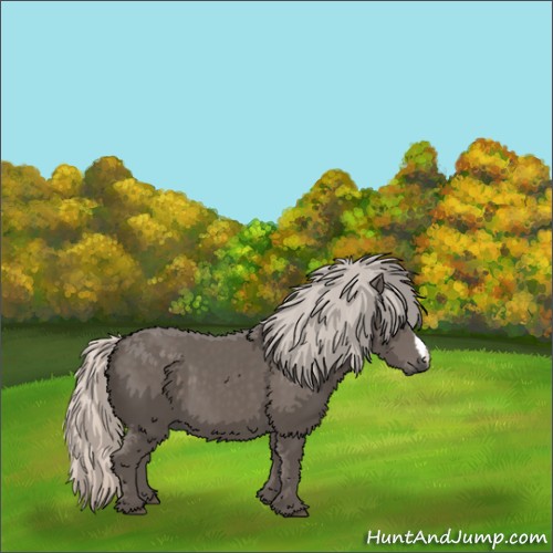 Horse Color:Silver Black 