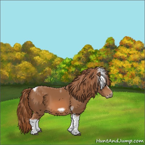 Horse Color:Chestnut Tobiano Frame 
