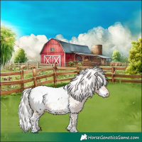 Horse Color:Silver Bay Dun Splash Tobiano Snowcap Rabicano 