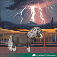 Horse Color:Silver Smoky Black Splash 