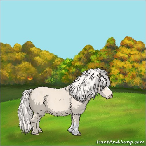 Horse Color:Cremello 