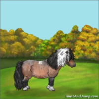 Horse Color:Bay Roan Tobiano 