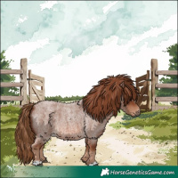Horse Color:Red Roan 