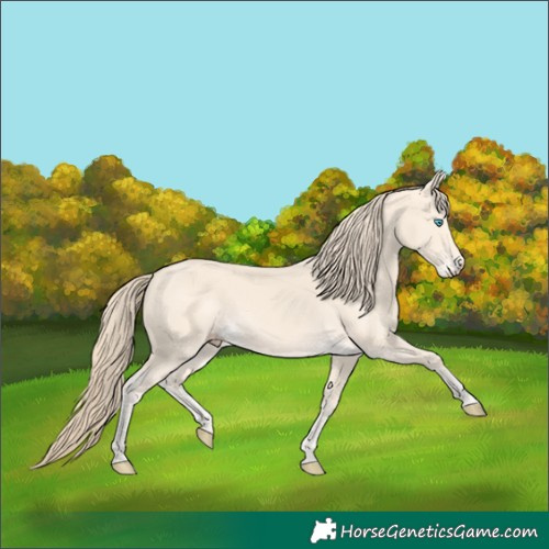 Horse Color:Perlino 