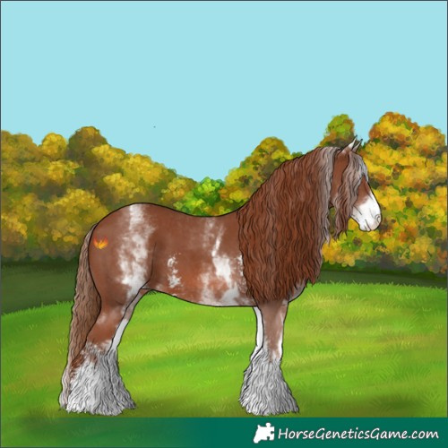 Horse Color:White Spotted Chestnut Sabino 