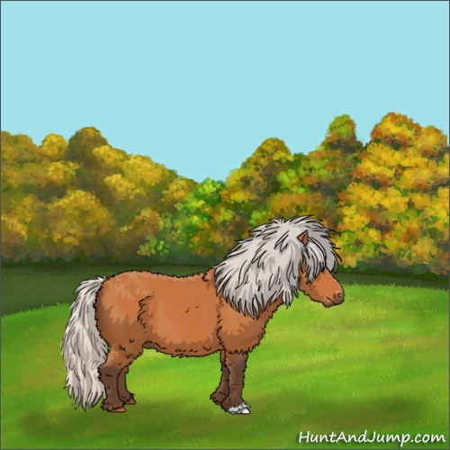 Horse Color:Silver Bay