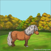 Horse Color:Silver Bay 