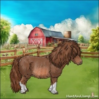 Horse Color:Chestnut Rabicano