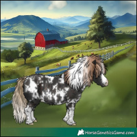 Horse Color:White Spotted Liver Chestnut Rabicano