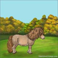 Horse Color:Red Roan 