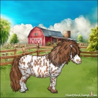 Horse Color:Red Roan Near Leopard 