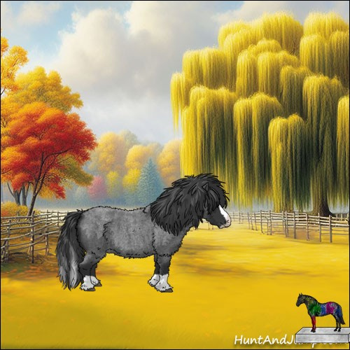 Horse Color:Blue Roan Splash 