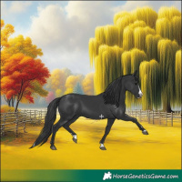 Horse Color:Black Splash 