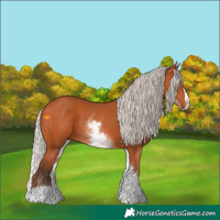 Horse Color:White Spotted Silver Bay Splash 