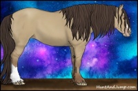 Horse Color:Classic Champagne Dun 