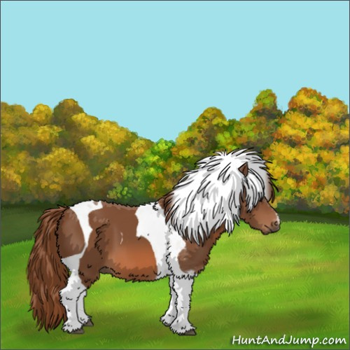 Horse Color:Chestnut Tobiano 