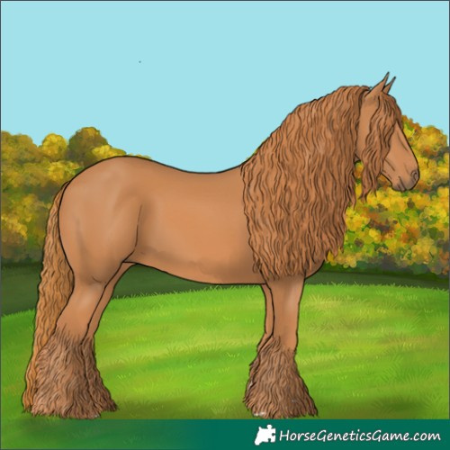 Horse Color:Chestnut 