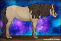 Horse Color:Classic Champagne Dun 