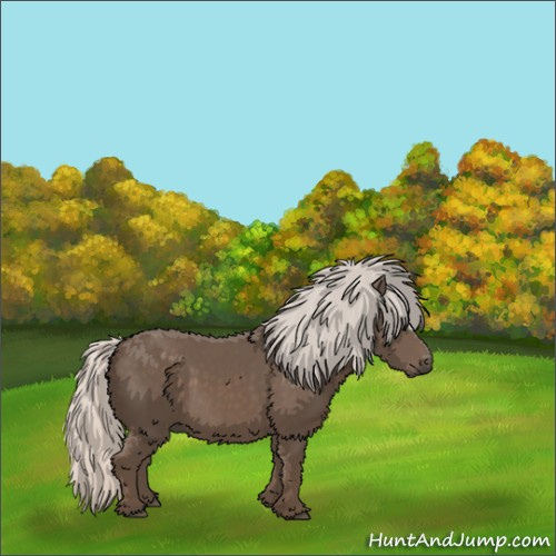 Horse Color:Silver Black 